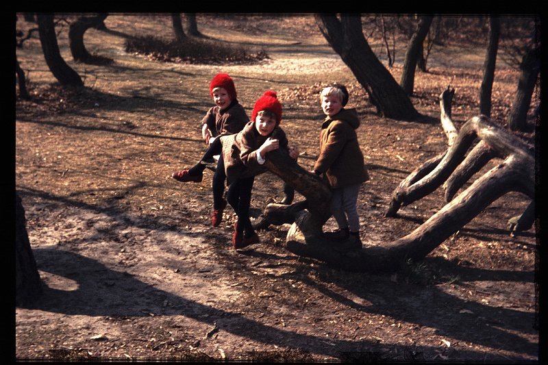 28.Meyendel mrt 1969 Brigitte,Marion,Peter.JPG